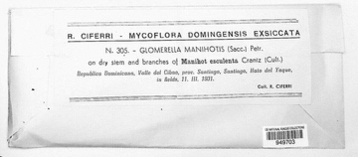 Guignardia manihotis image